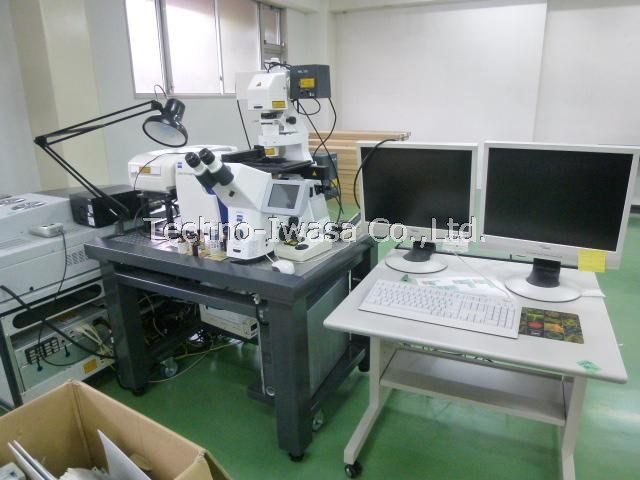 �-��-���݌�����